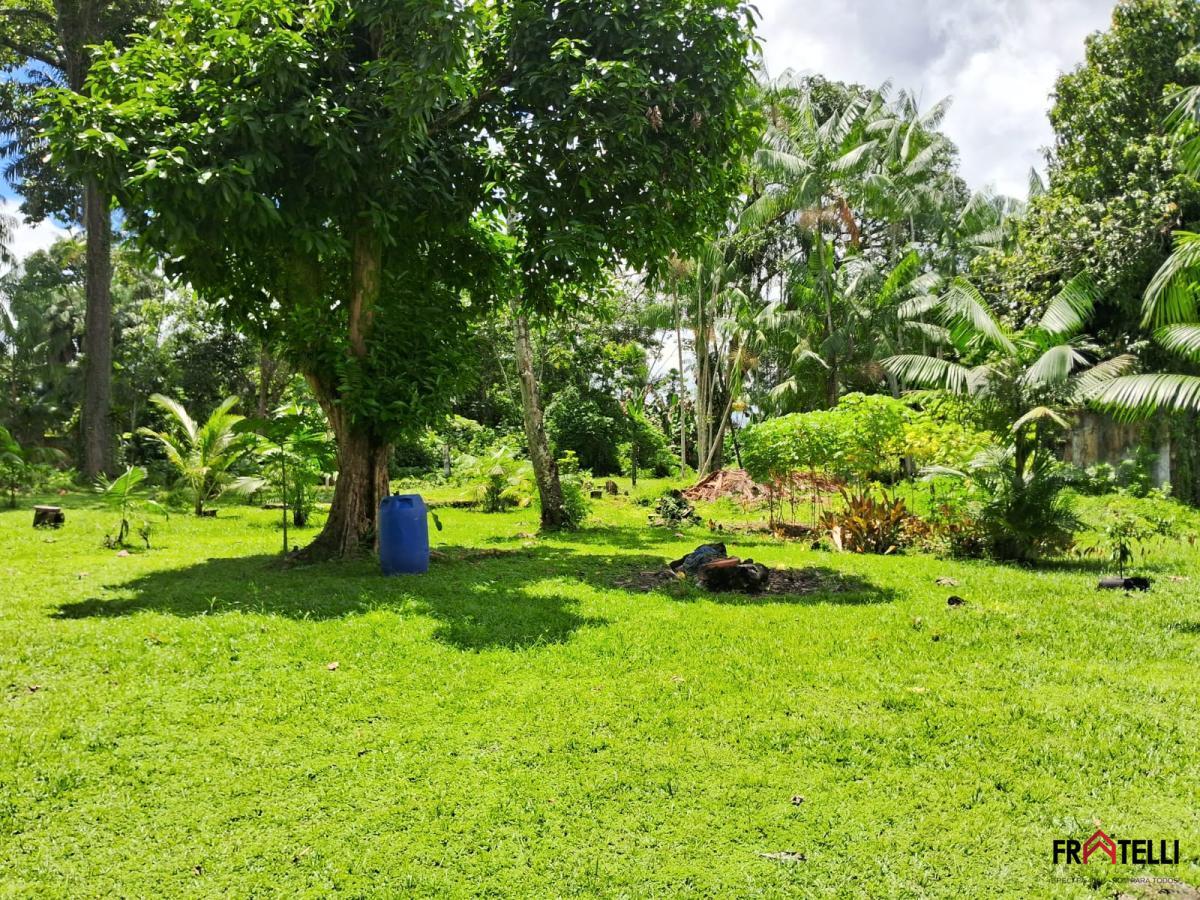 Sítio, 1 hectares - Foto 15